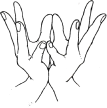 mudra lotus