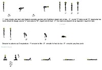 Séance n°1 d'Hatha yoga (2022-2023) - Séance illustrée, page 2