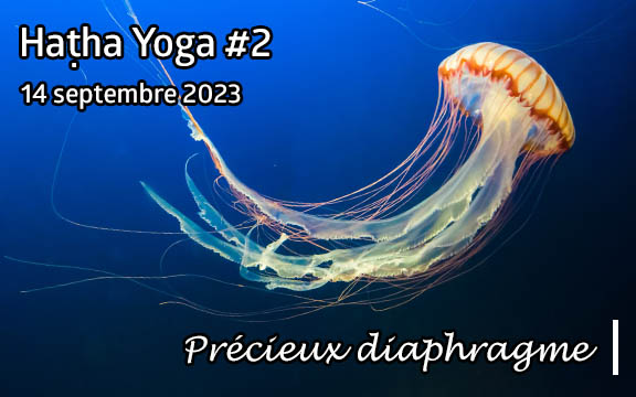 Saison 2023-2024, séance de haṭha yoga n°2 : Précieux diaphragme