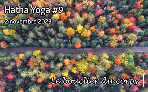 Saison 2023-2024, séance de haṭha yoga n°9 : Le bouclier du corps