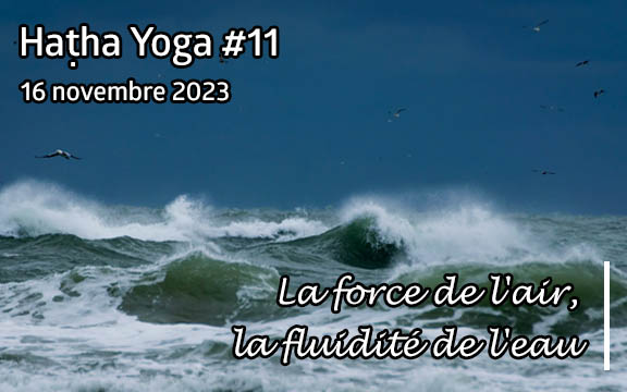 Saison 2023-2024, séance de haṭha yoga n°11 : La force de l'air - La fluidité de l'eau