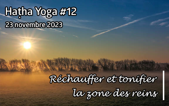 Saison 2023-2024, séance de haṭha yoga n°12 : Réchauffer et tonifier la zone des reins