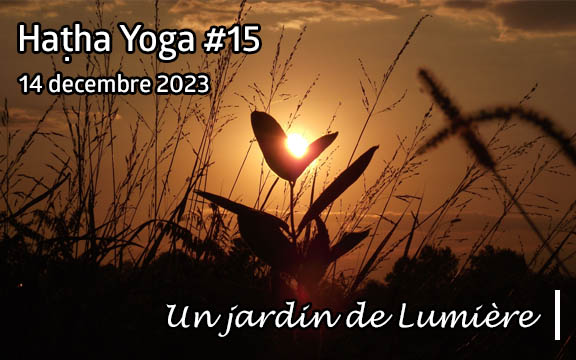 Saison 2023-2024, séance de haṭha yoga n°15 : Un jardin de Lumière !!!