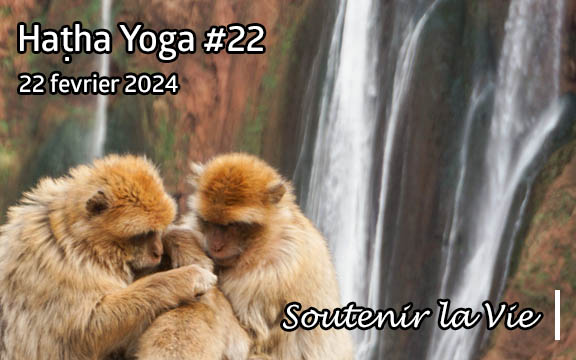 Saison 2023-2024, séance de haṭha yoga n°22 : Soutenir la Vie