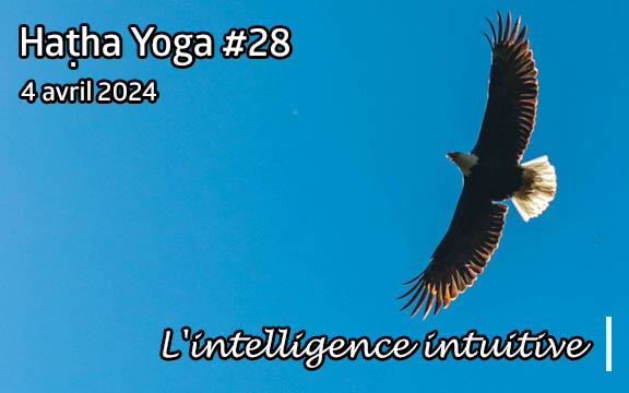 Saison 2023-2024, séance de haṭha yoga n°28 : L'intelligence intuitive
