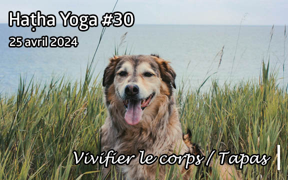 Saison 2023-2024, séance de haṭha yoga n°30 : Vivifier le corps/Tapas