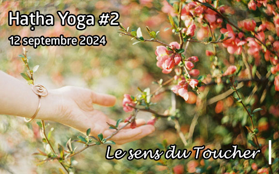 Saison 2024-2025, séance de haṭha yoga n°2 : Le sens du Toucher