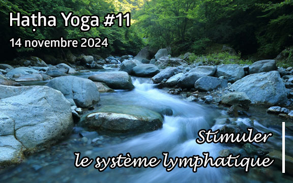 Saison 2024-2025, séance de haṭha yoga n°11 : Stimuler le système lymphatique