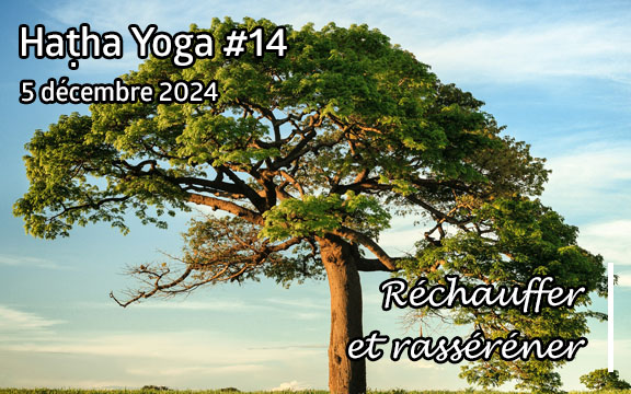 Saison 2024-2025, séance de haṭha yoga n°14 : Réchauffer et rasséréner