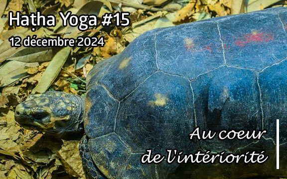 Saison 2024-2025, séance de haṭha yoga n°15 : Au coeur de l'intériorité