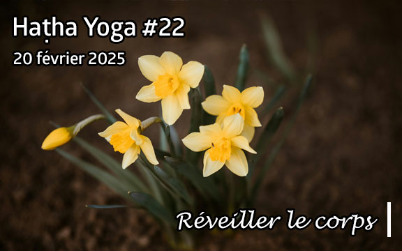 Saison 2024-2025, séance de haṭha yoga n°22 : Réveiller le corps