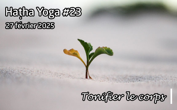 Saison 2024-2025, séance de haṭha yoga n°23 : Tonifier le corps