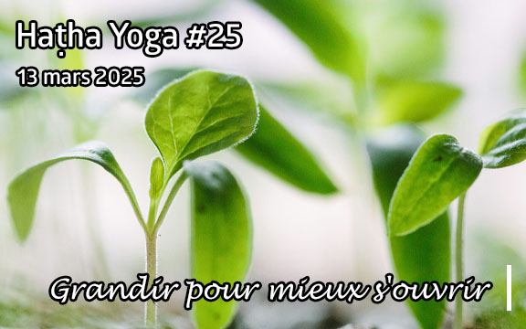 Saison 2024-2025, séance de haṭha yoga n°25 : Grandir pour mieux s'ouvrir