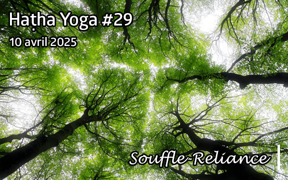 Saison 2024-2025, séance de haṭha yoga n°29 : Le souffle-Reliance