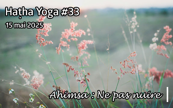Saison 2024-2025, séance de haṭha yoga n°33 : Ne pas nuire