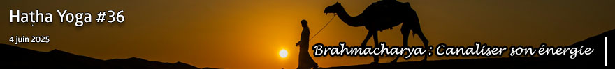 Séance de Hatha Yoga #36 : Brahmacharya - Canaliser son énergie