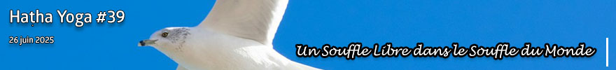 Séance de Hatha Yoga #39 :  Un Souffle Libre dans le Souffle du Monde