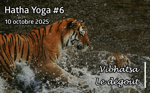 Saison 2025-2026, séance de haṭha yoga n°6 : Vibhatsa - Le Dégoût
