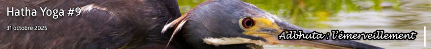 Séance de Hatha Yoga #9 : Adbhuta, l'émerveillement