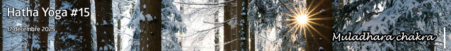 Séance de Hatha Yoga #15 : Muladhara chakra