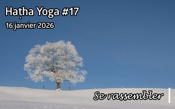 Saison 2025-2026, séance de haṭha yoga n°17 : Se rassembler