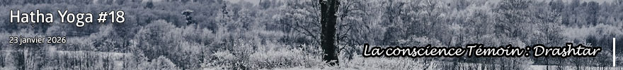 Séance de Hatha Yoga #18 : La conscience Témoin : Drashtar