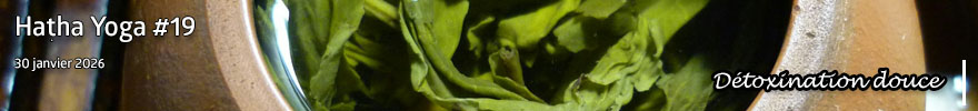 Séance de Hatha Yoga #19 : Détoxination douce