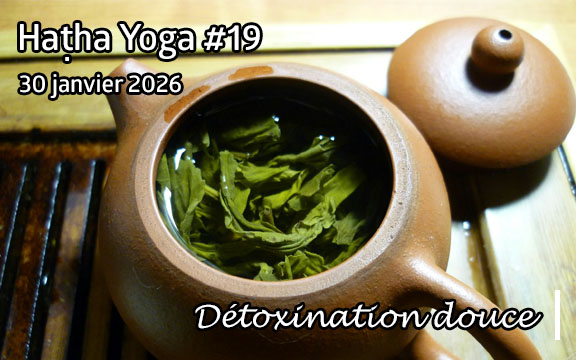 Saison 2025-2026, séance de haṭha yoga n°19 : Détoxination douce