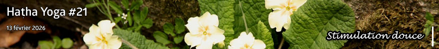 Séance de Hatha Yoga #21 : Stimulation douce