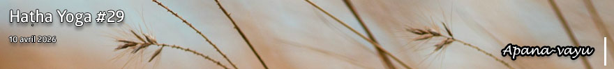 Séance de Hatha Yoga #29 : Apana-vayu