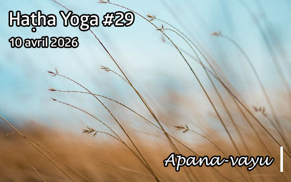Saison 2025-2026, séance de haṭha yoga n°29 :Apana-vayu