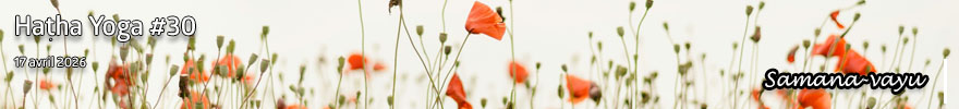 Séance de Hatha Yoga #30 : Samana-vayu
