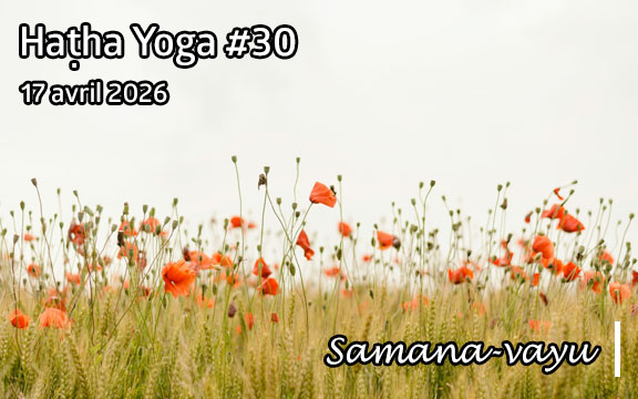 Saison 2025-2026, séance de haṭha yoga n°30 :Samana-vayu