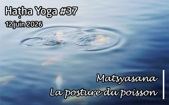 Saison 2025-2026, séance de haṭha yoga n°37 : Matsyasana - La posture du poisson