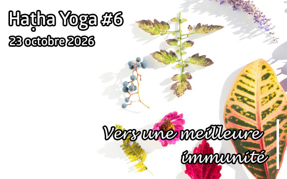 Saison 2026-2027, séance de haṭha yoga n°6 : Vers une meilleure immunité