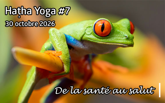 Saison 2026-2027, séance de haṭha yoga n°7 : De la santé au salut